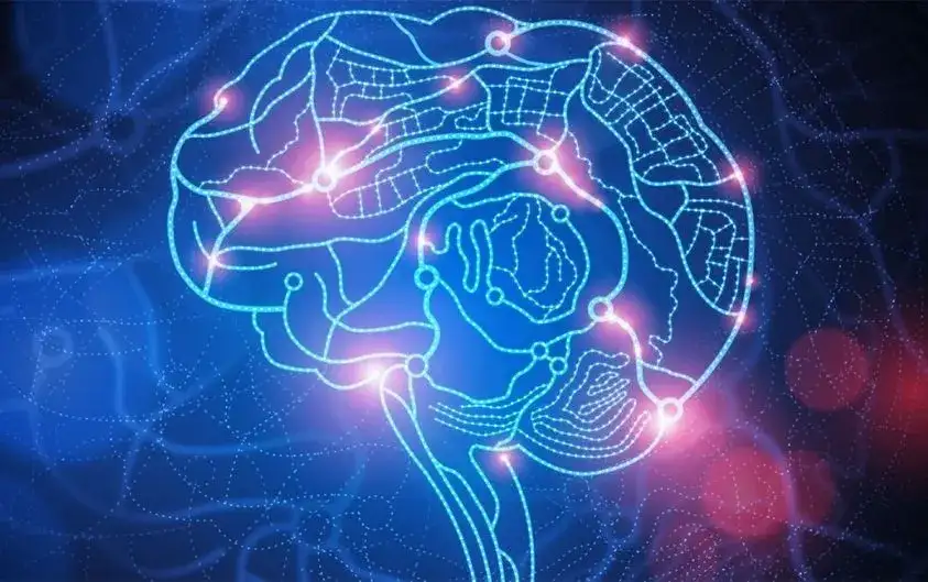 Türkiye’de Zihinsel Sağlık ve Dijital Wellness Trendleri: 2026’ya Hazırlık